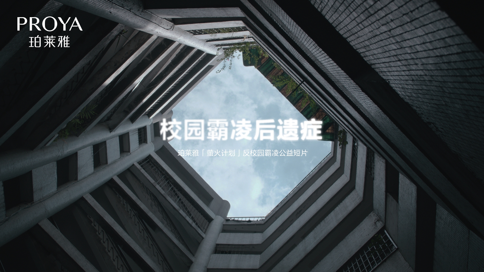 20250213-104719.jpg